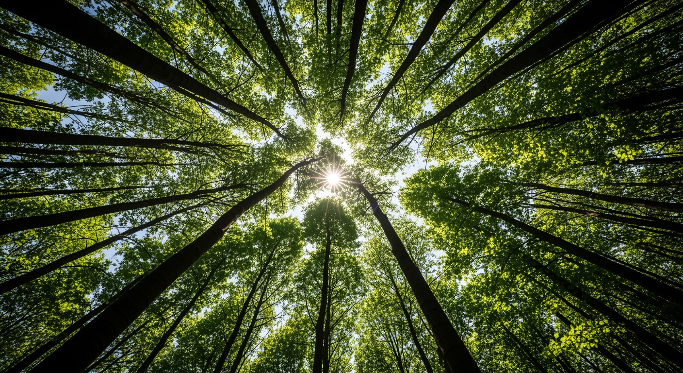 TNFD and Nature-Related Financial Disclosures: Biodiversity Risk Reporting and the ISSB Transition in 2026