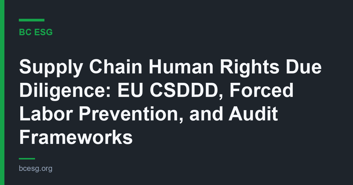 Supply Chain Human Rights Due Diligence: EU CSDDD, Forced Labor Prevention, and Audit Frameworks