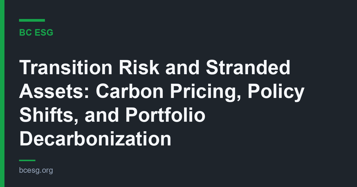 Transition Risk and Stranded Assets: Carbon Pricing, Policy Shifts, and Portfolio Decarbonization