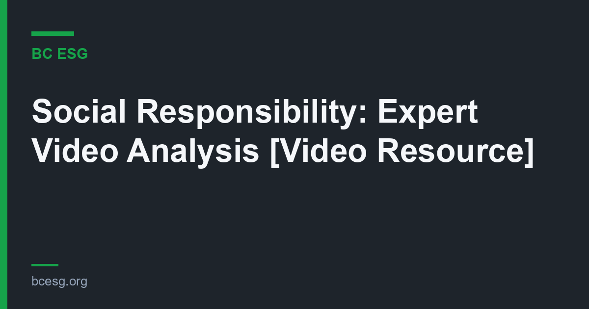 Social Responsibility: Expert Video Analysis [Video Resource]